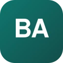 baiyi666.com logo