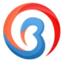 bisnison.com logo