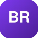 brfollowerspanel.com logo
