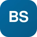 bsmvip.com logo