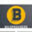 bulkproviders.com logo