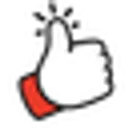 fansking.net logo