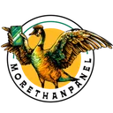 morethanpanel.com logo