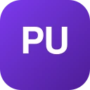 publicitystuntt.com logo