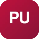punjabsmmking.com logo