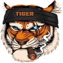 smmtiger.online logo