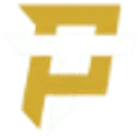 thepanel.top logo