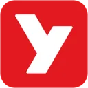 vnkings.net logo