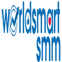 worldsmartsmm.com logo