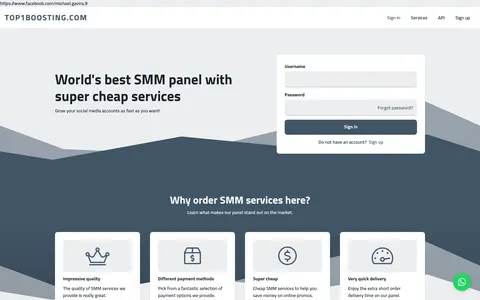 top1boosting.com homepage