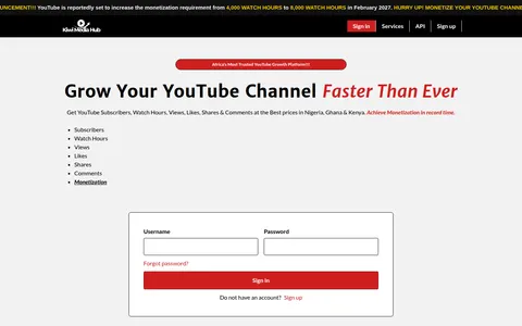 viralrise.ng homepage