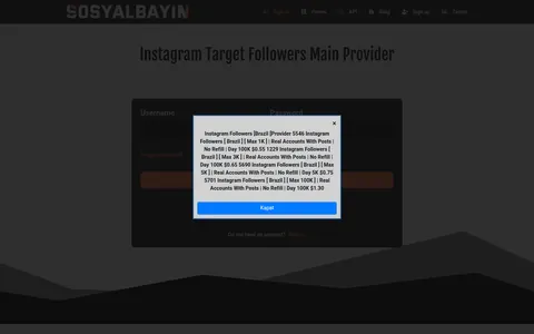sosyalbayin.org homepage