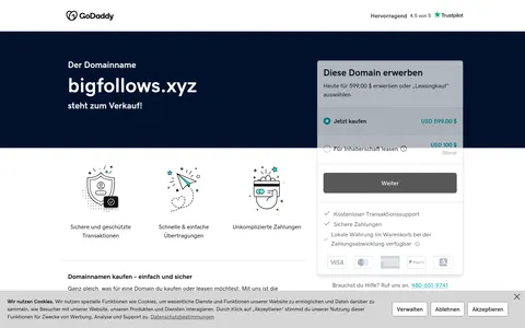 bigfollows.xyz homepage