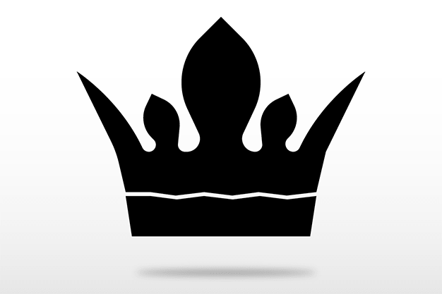 snmspeedpanel.com logo