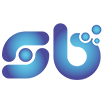 sosyalbayin.com logo